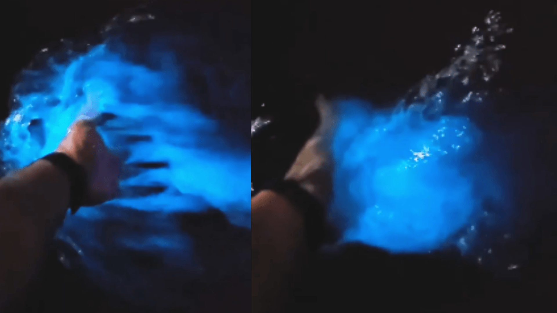 Fotógrafo registra fenômeno raro no mar de Ilhabela no Litoral Norte de São Paulo; veja vídeo