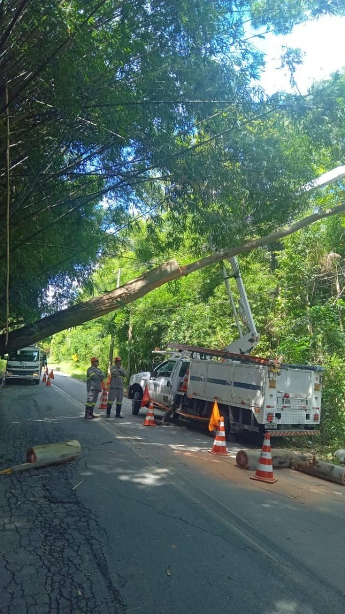 Chuva derruba árvore e interdita estrada em Pindamonhangaba