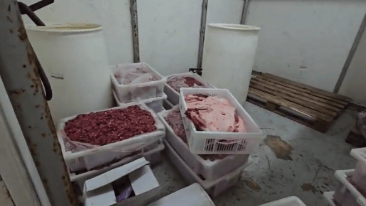 Frigorífico com 37,5 toneladas de carne imprópria para consumo é fechado no interior de SP