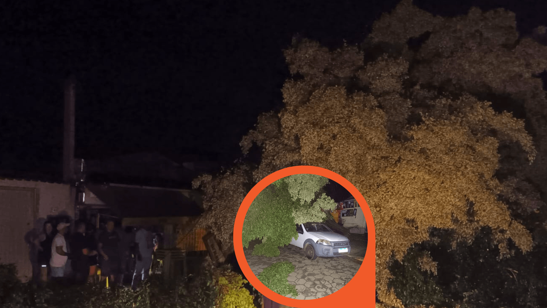 Árvore cai em fiação de alta tensão, atinge casa e deixa família desalojada em Aparecida