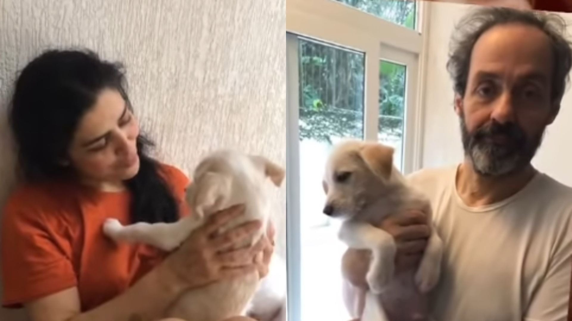Leticia Sabatella diz que amiga doou pets dela sem permissão e faz apelo para recuperá-los