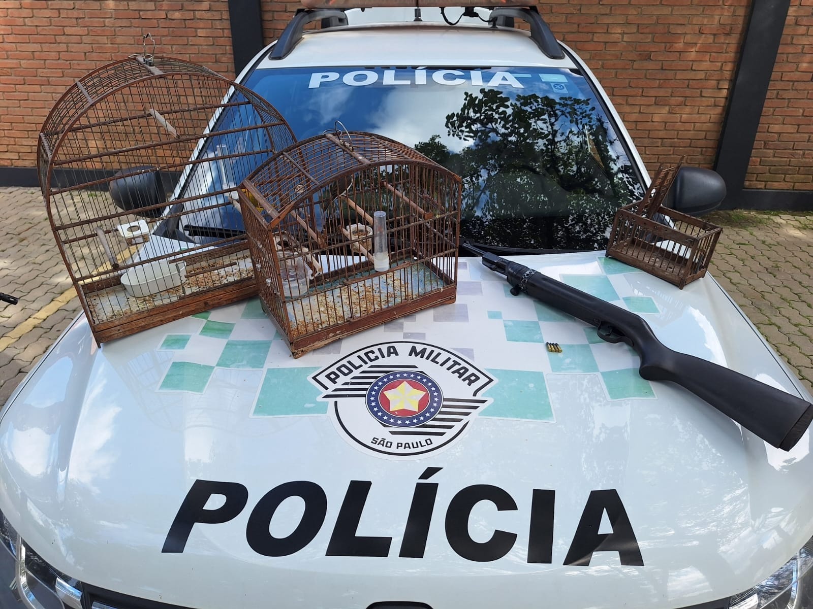 PM Ambiental resgata aves silvestres e apreende arma de fogo em Roseira