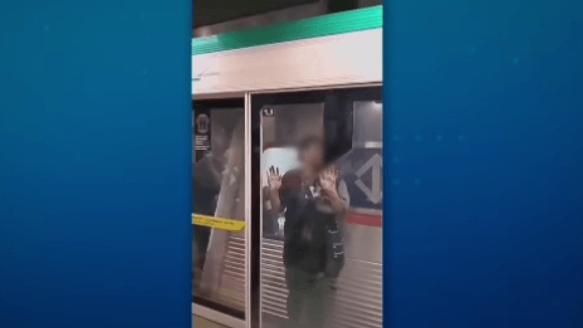 Vídeo: passageira fica presa entre porta de segurança e vagão do metrô em SP