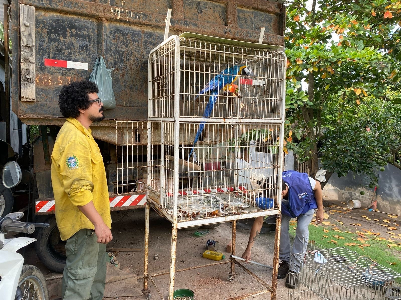 Onze animais silvestres foram apreendidos em operação em Itaboraí