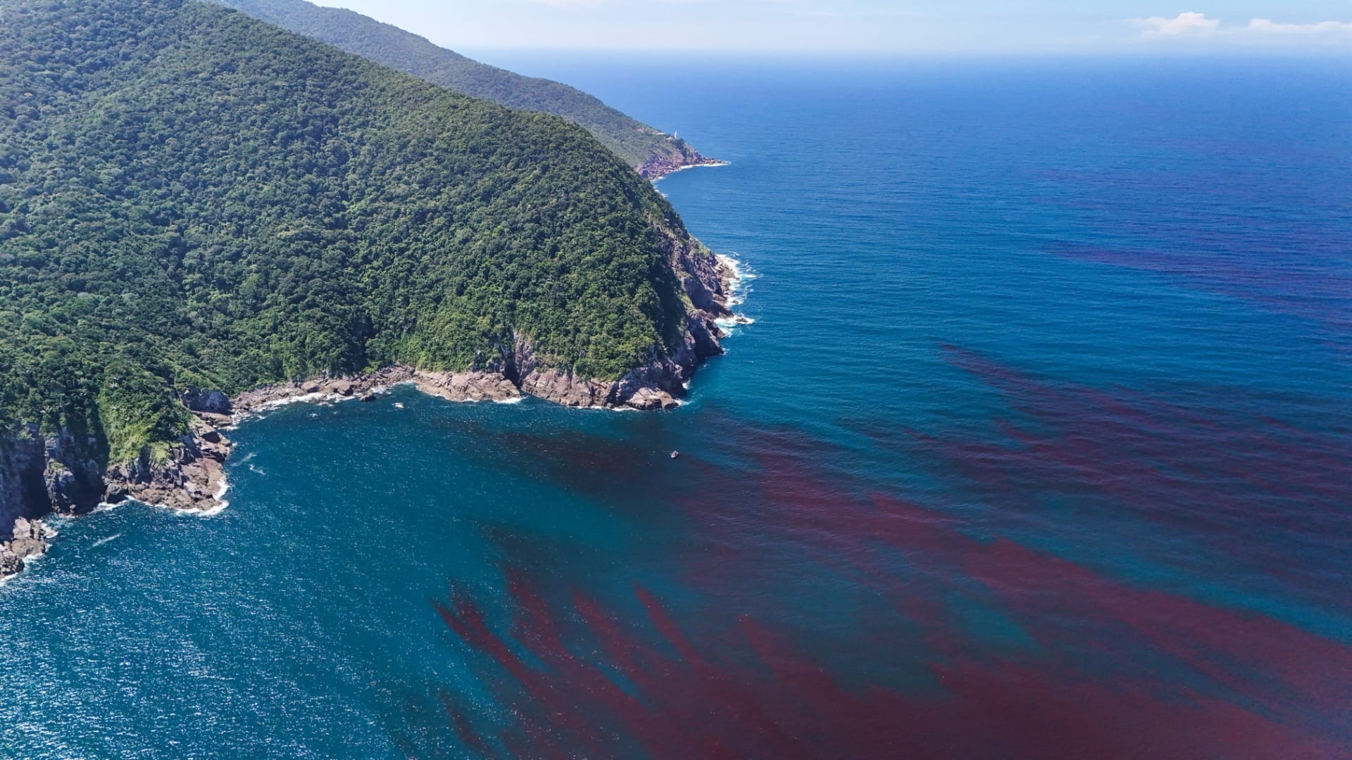 Fotógrafo registra "maré vermelha" no mar de Ilhabela no Litoral Norte de SP; veja vídeo