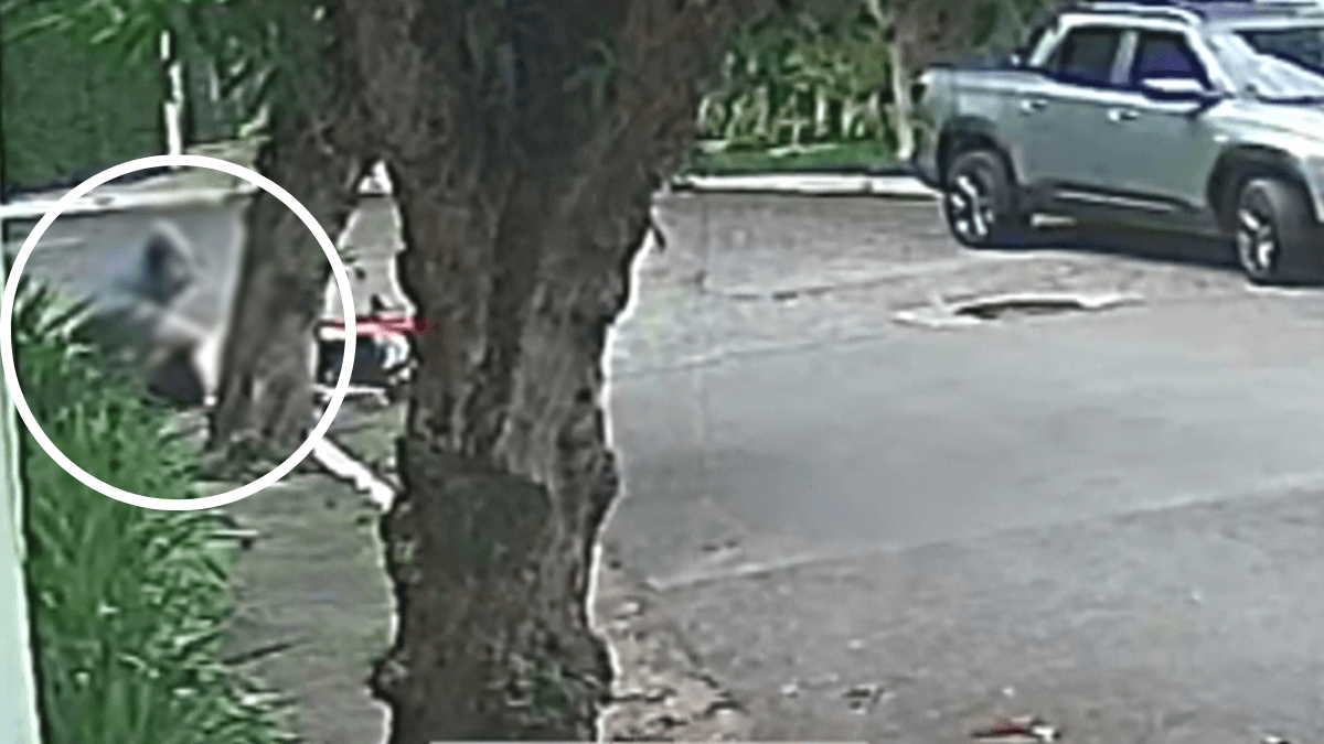 Vídeo: homem reage e agride bandido durante assalto na Zona Sul de São Paulo