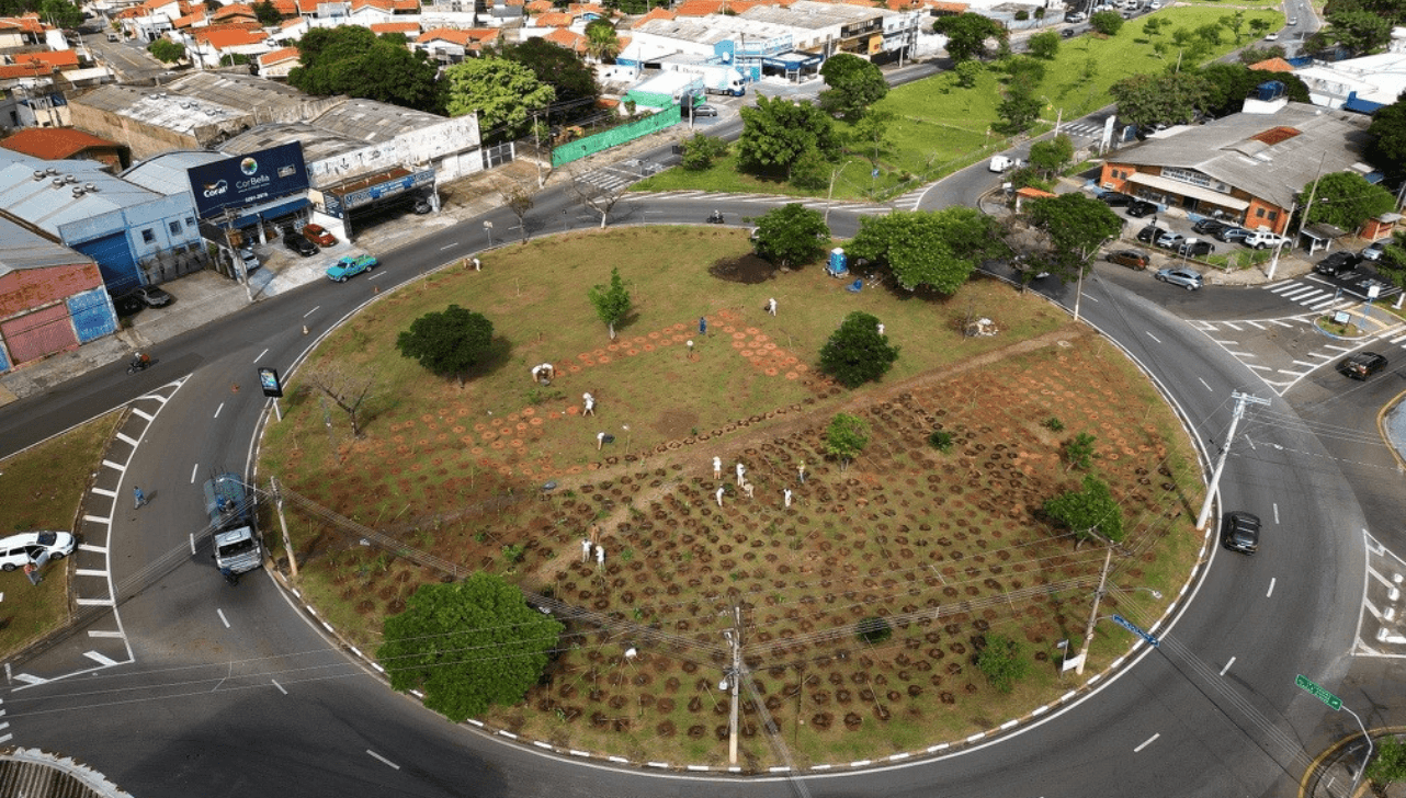 Primeira microfloresta começa a ser implantada em Campinas para amenizar forte calor