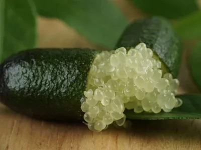 Existe um limão que custa R$ 800 no Brasil; conheça fruta rara e exótica