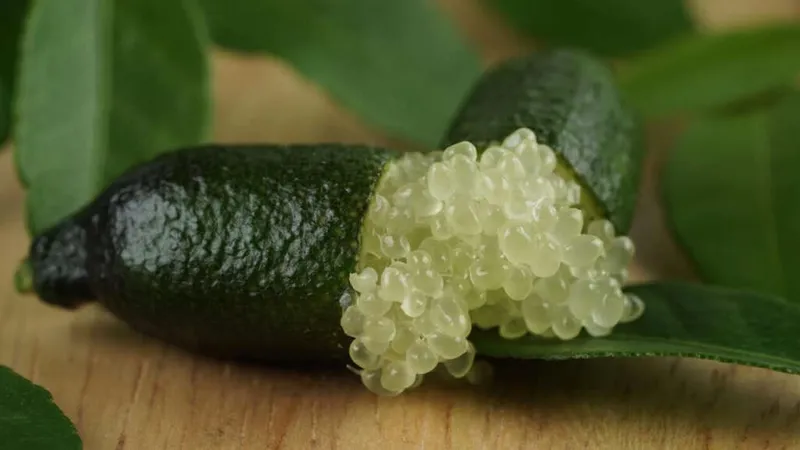 Lime Raro Existe um limão que custa R$ 800 no Brasil