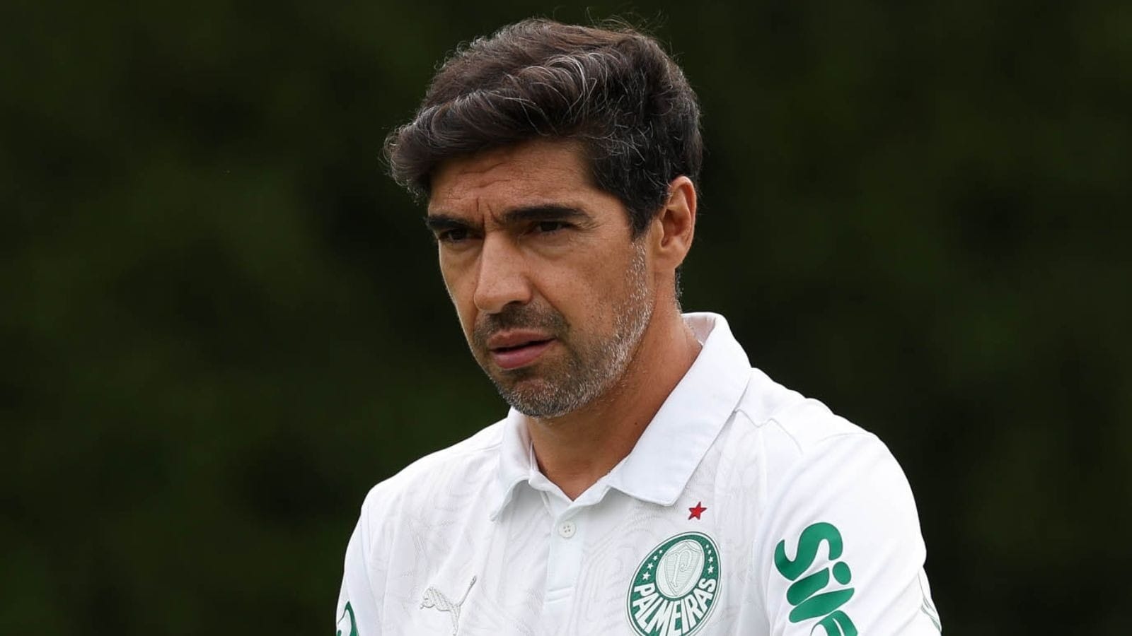 Nicola: Palmeiras fecha acordo com Al Sadd para pagar multa de pré-contrato de Abel Ferreira