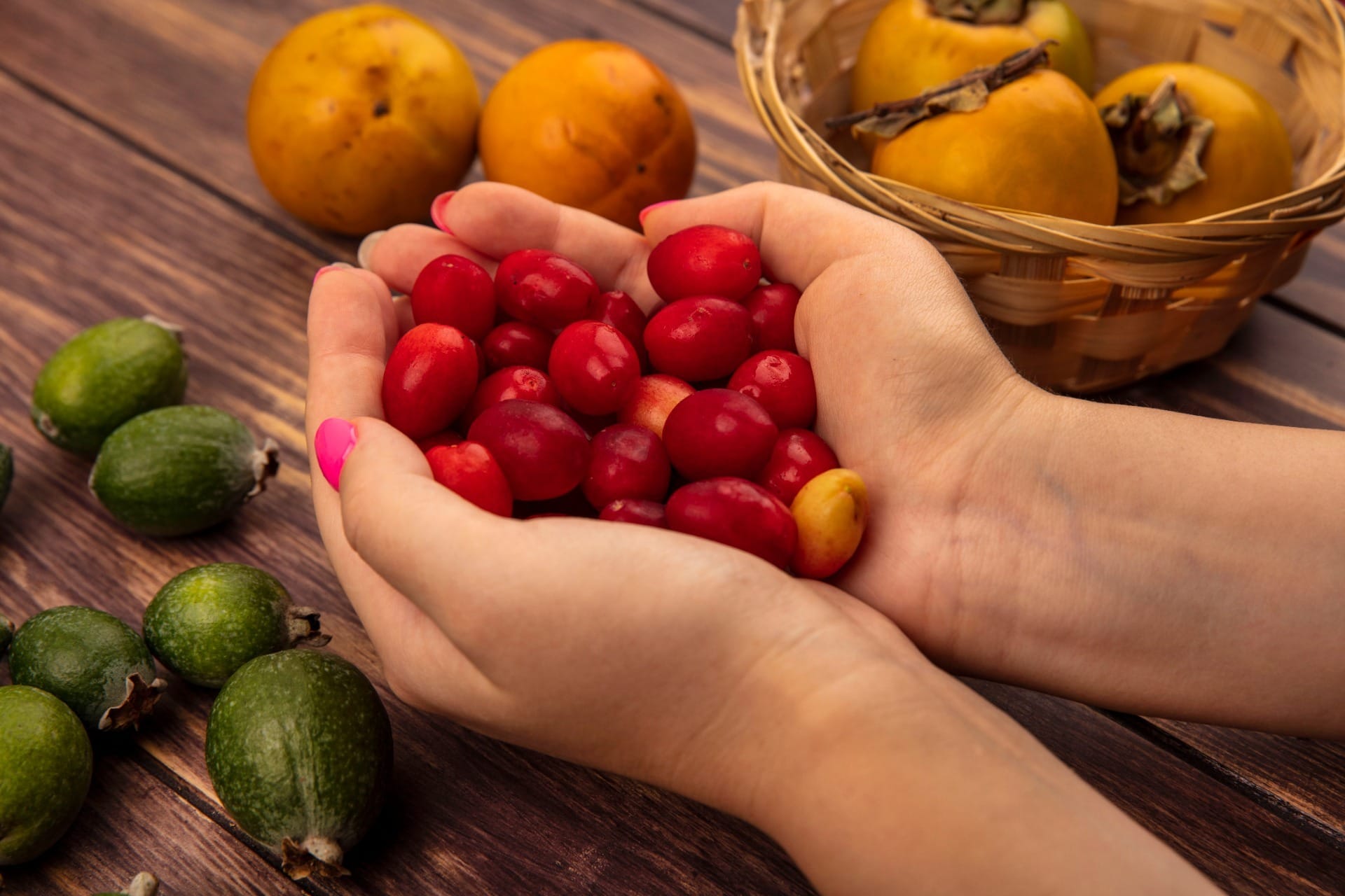 Sebrae-SP realiza workshop de frutas nativas da Mata Atlântica em Natividade da Serra