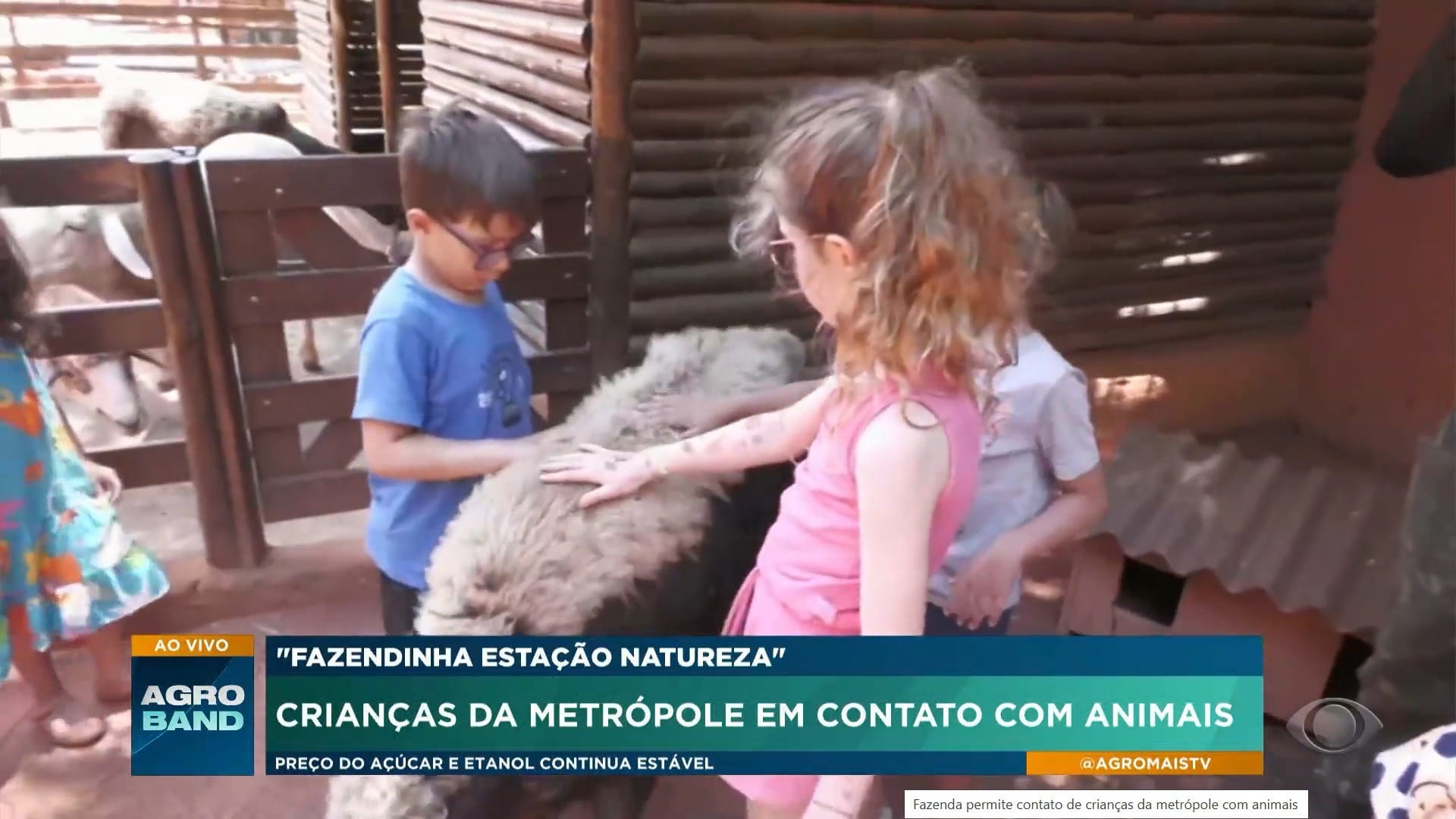 Fazendinha em São Paulo é opção de lazer com conhecimento rural para crianças