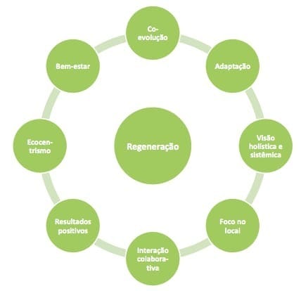 Algumas das dimensões da Regeneração em seu propósito de gerar impacto positivo de forma ampla