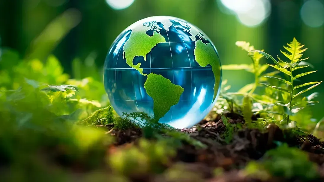 O que é sustentabilidade, ESG e regeneração e por que são importantes