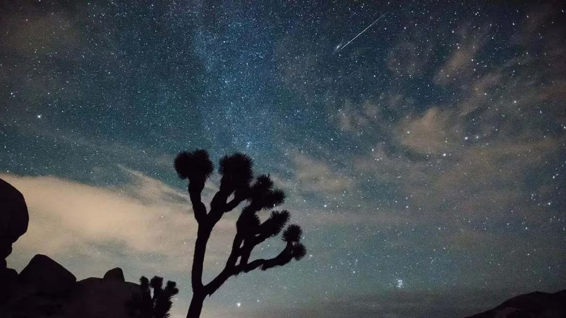 Chuva de meteoros: como observar este espetáculo da astronomia no Brasil?