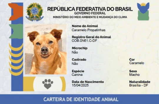 Documento traz informações sobre o animal e o seu responsável | Reprodução