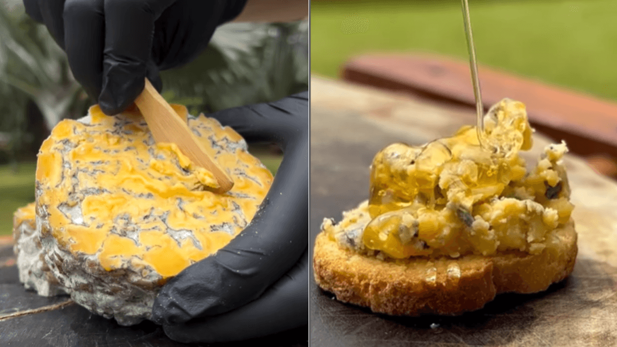 Queijo brasileiro é exaltado em site internacional de gastronomia