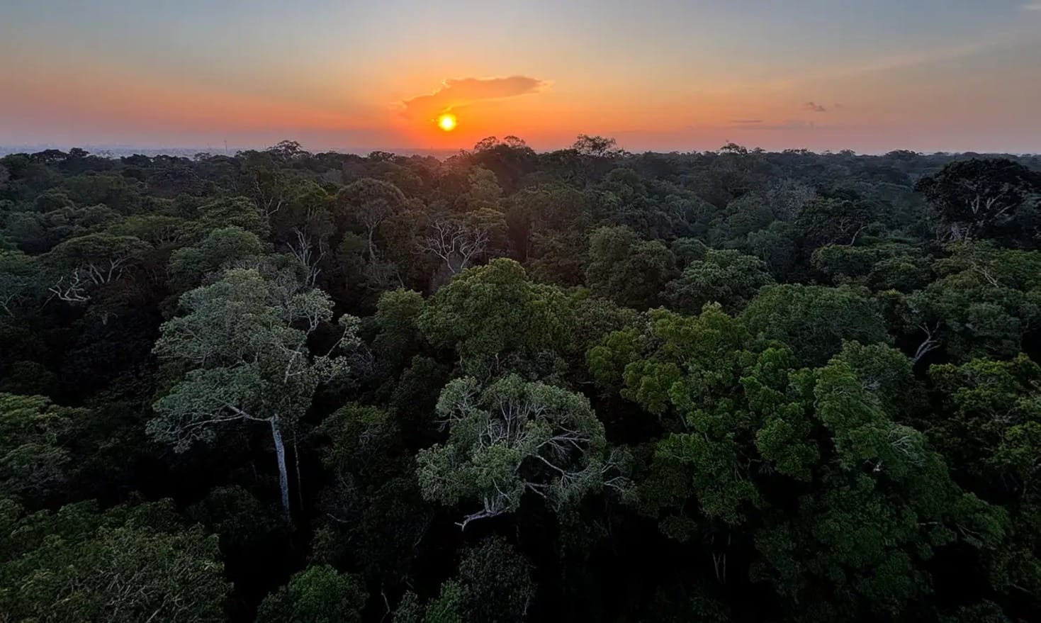 PSOL vai ao STF contra nova lei de licenciamento ambiental
