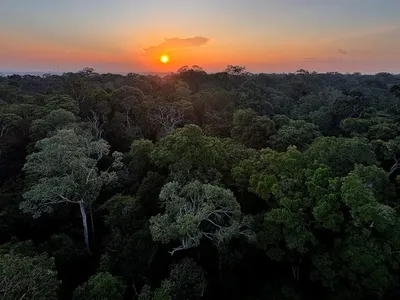 PSOL vai ao STF contra nova lei de licenciamento ambiental
