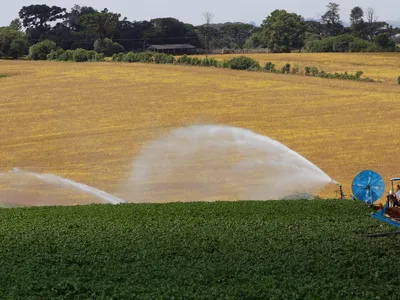 Brasil tem recorde de registro de defensivos agrícolas em 2025