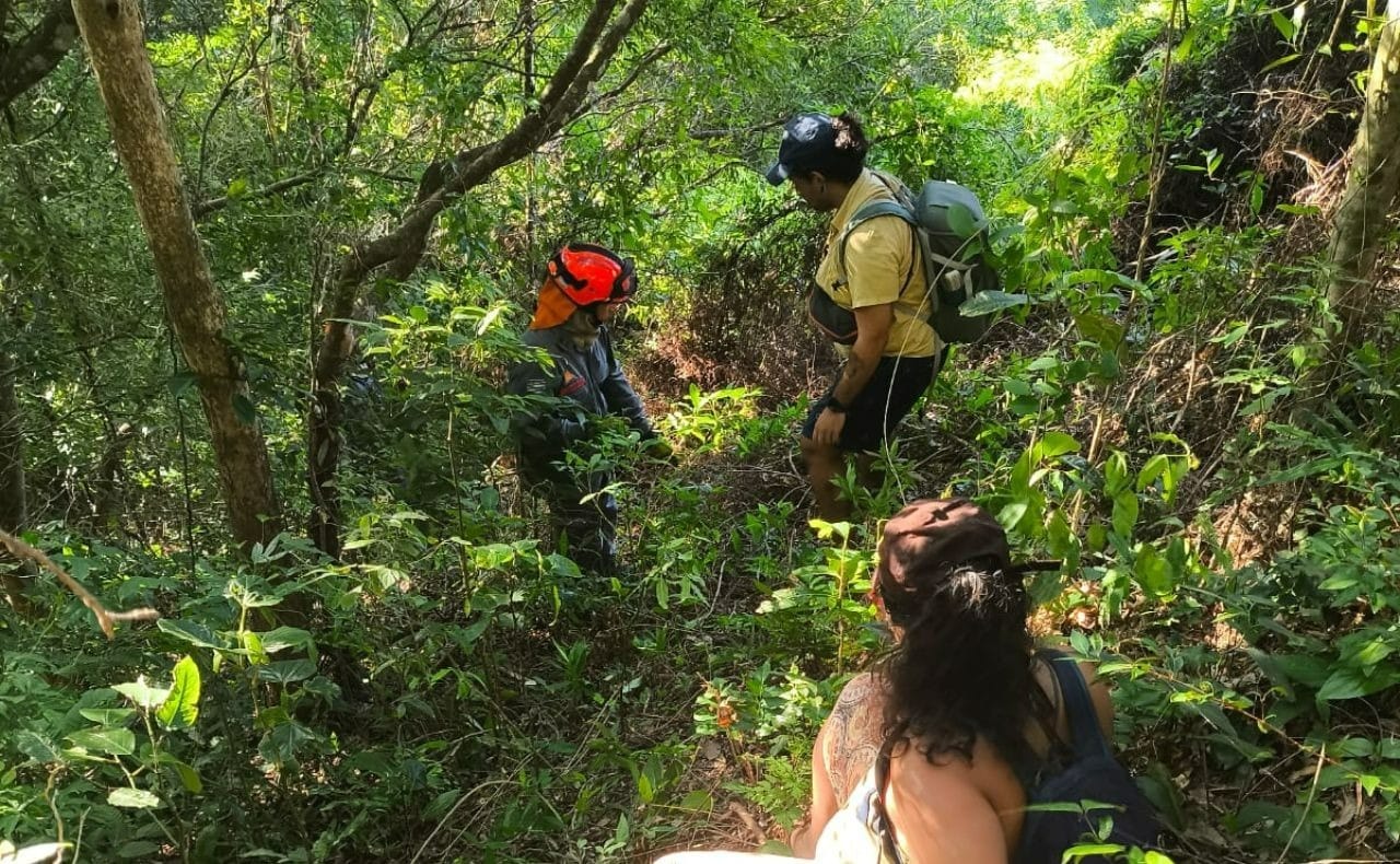 Bombeiros resgatam dupla perdida em mata de trilha de São Sebastião