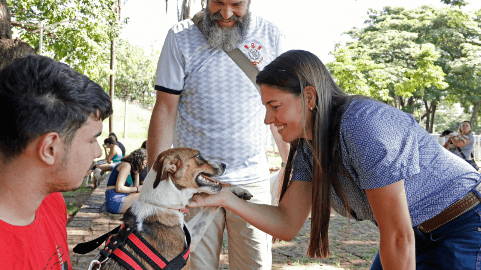 Bem-estar Animal recolhe 93 animais até maio em Rio Preto