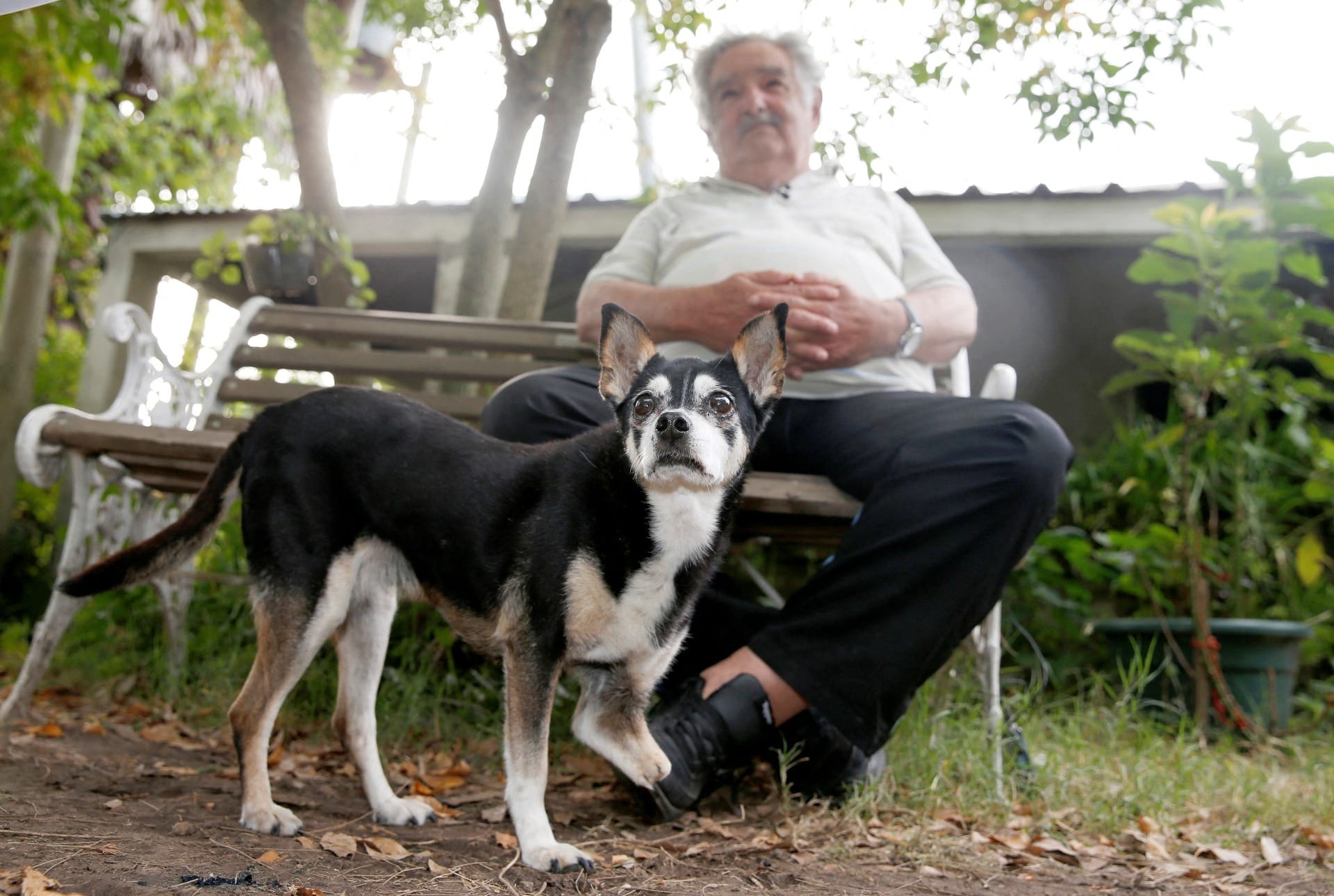 Manuela foi a fiel escudeira de Mujica (Foto: Andres Stapff/File Photo/Reuters)