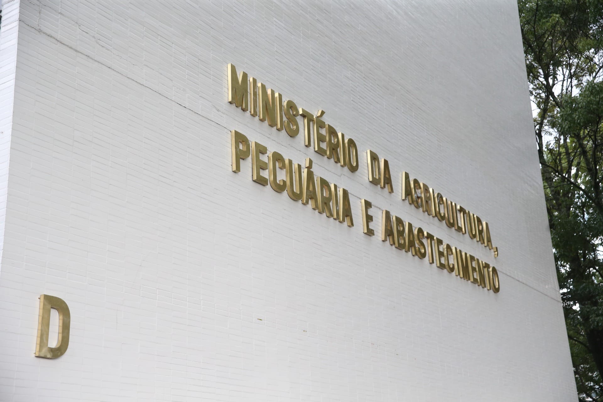 Há 7 investigações de suspeita da gripe aviária em andamento, diz ministério