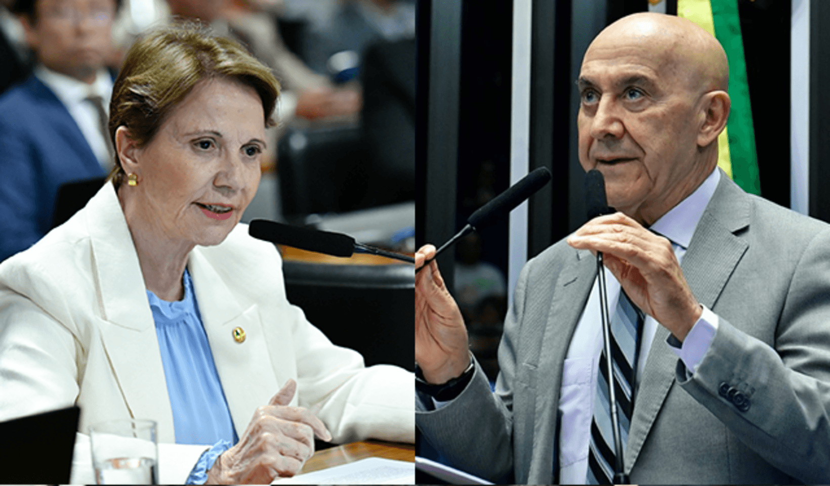 Licenciamento Ambiental: entenda o projeto que destrava investimentos para a proteção ambiental