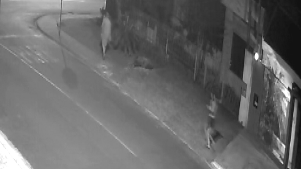 Morto por engano: mulher ataca idoso com bloco de concreto em Cascavel (PR)