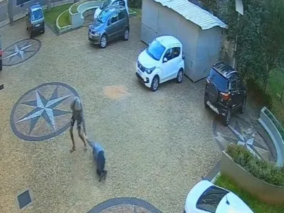 Idosa é derrubada por assaltante ao ter bolsa roubada no pátio da Igreja Matriz em Rio Claro