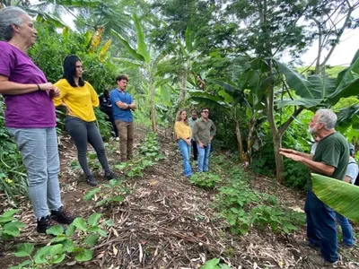 Projeto Carbono Social remunera pequenos negócios sustentáveis no Brasil