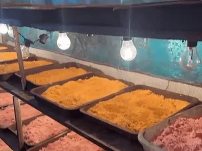 ‘Químico’ é preso em laboratório de drogas sintéticas no litoral de SP