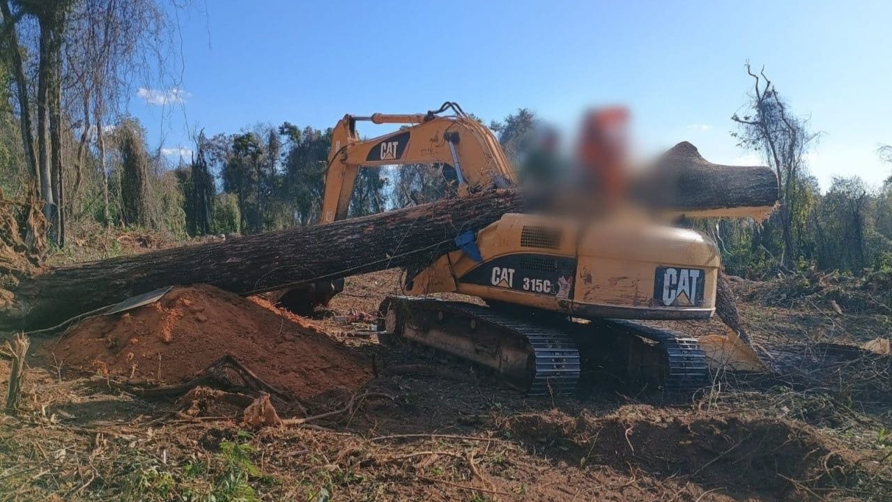 Jequitibá de 20 metros cai em cima de retroescavadeira e mata operador no interior de Minas