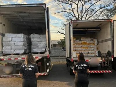 Polícia apreende 12 toneladas de polpa de açaí avaliadas em R$ 200 mil desviada em Goiás