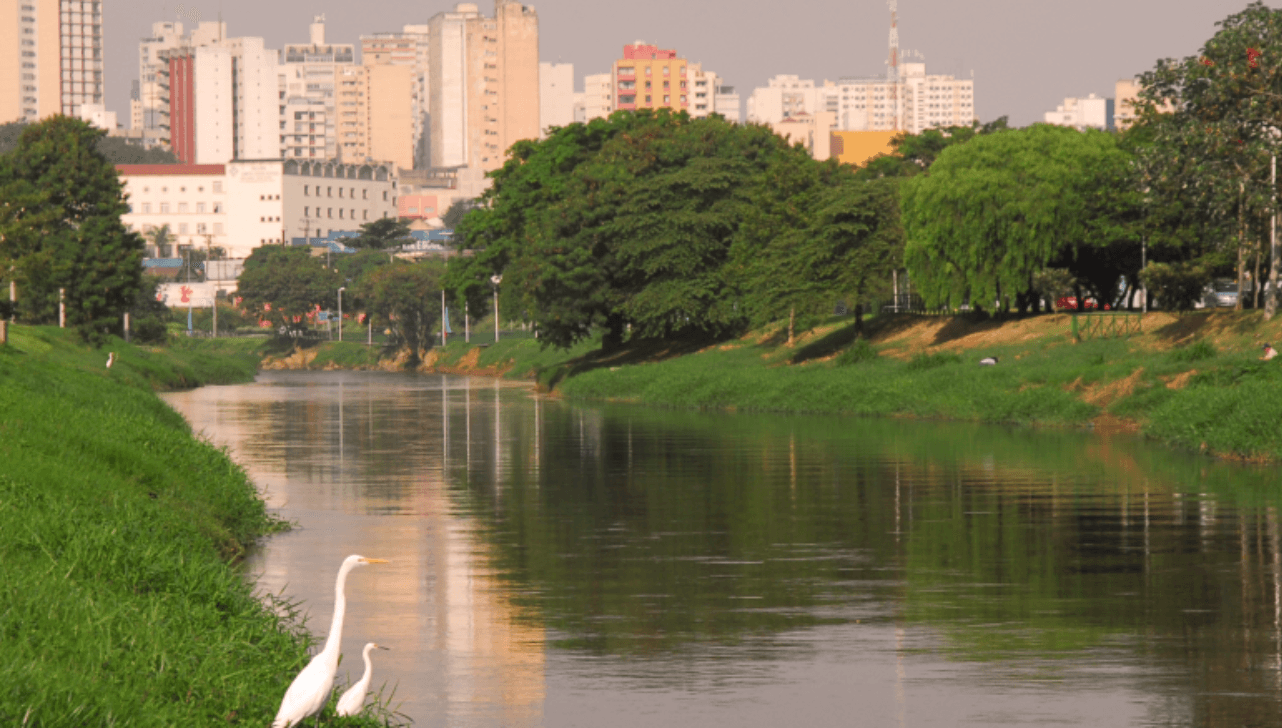 MP entra com ação para proibir construção de avenida em área reservada a parque em Sorocaba