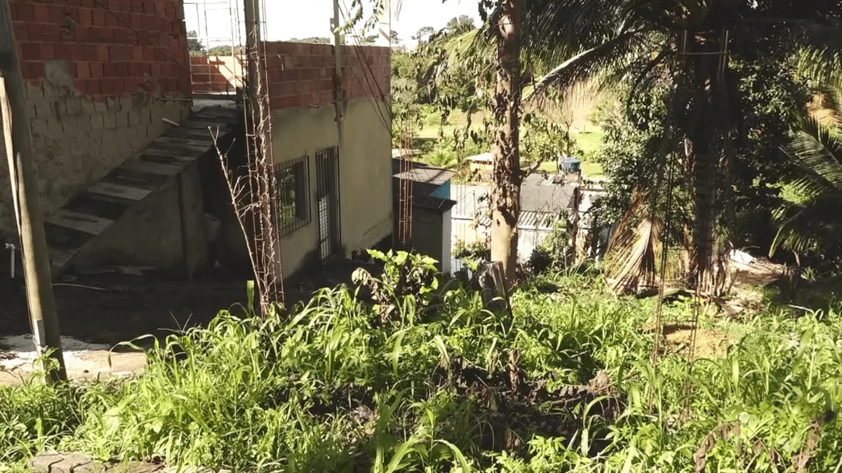 Mulher confessa ter matado e decapitado sobrinha em Vitória, no Espírito Santo