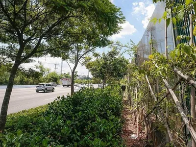 USP começa a demolir restante do muro de vidro da gestão João Doria