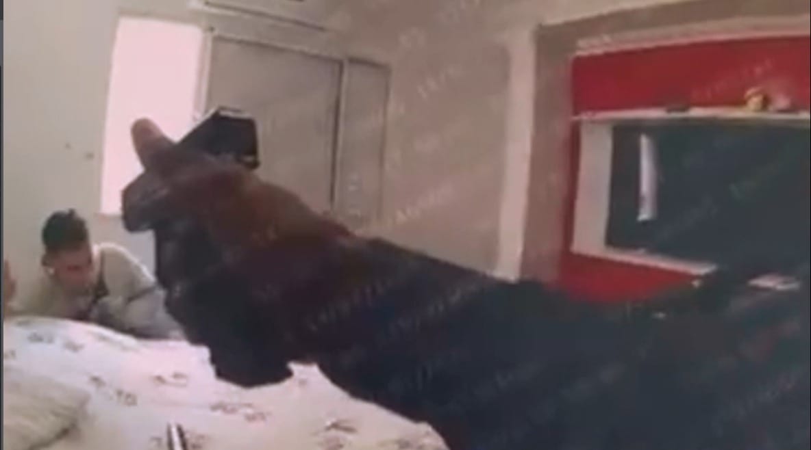 Vídeo: bodycam de PM registra execução de homem rendido em Paraisópolis