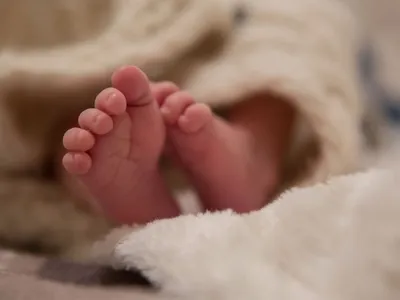 Recém-nascida é encontrada viva em lixeira de banheiro de hospital em SP