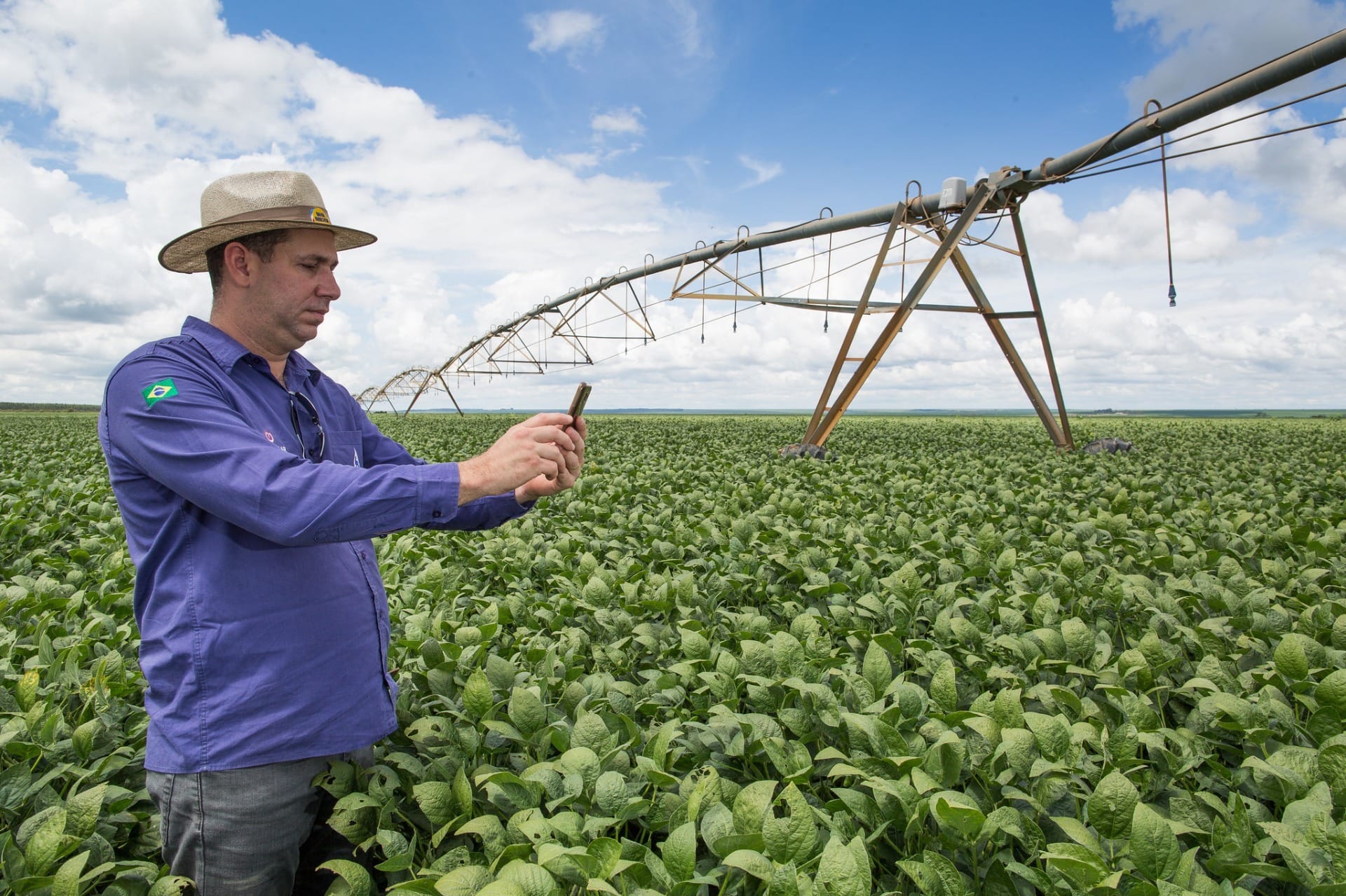 IA chamada Raimundo oferece assistência técnica a pequenos agricultores