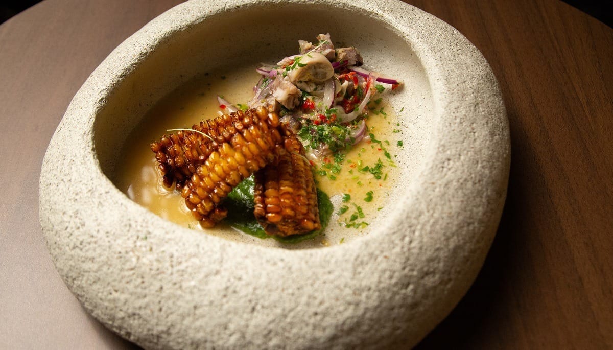 Ceviche de pé de porco com ostras e leche de tigre | Band Receitas