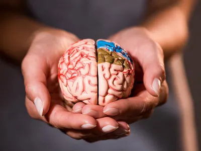 Estimular o cérebro previne doenças, dizem especialistas; aprenda exercícios para a mente
