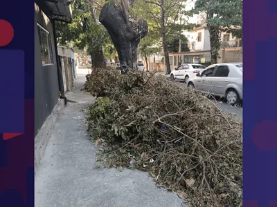 Após denúncia na BandNews FM, Comlurb retira restos de poda deixados nas calçadas do Méier