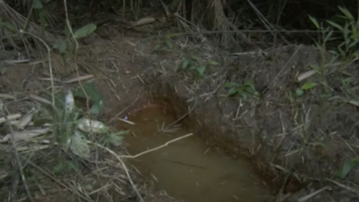 Trilha da morte: polícia encontra cemitério clandestino do tribunal do crime em SP
