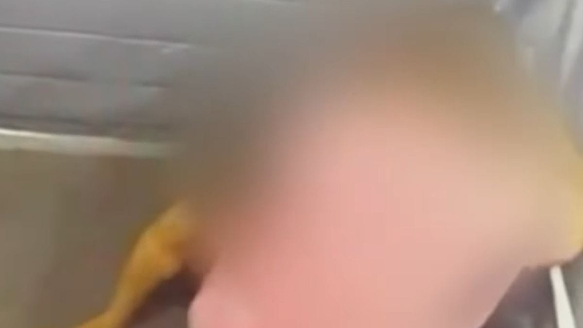 Igor Cabral é investigado por espancar mulher em elevador: qual a possível pena?