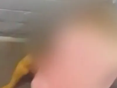 Igor Cabral é investigado por espancar mulher em elevador: qual a possível pena?