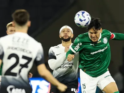 Casagrande critica gol anulado do Palmeiras e dispara: "O VAR no Brasil trabalha contra o gol"