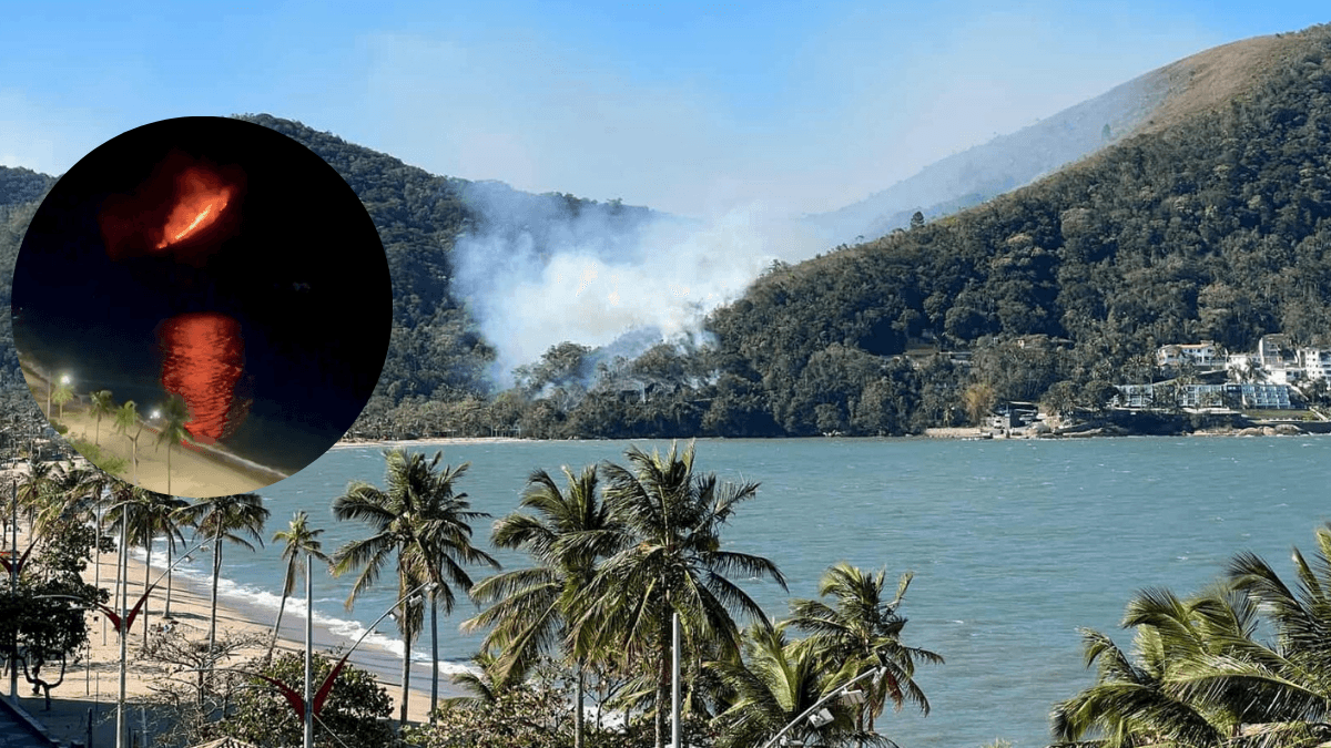 Corpo de Bombeiros segue atuando em incêndio no morro da Martim de Sá em Caraguatatuba