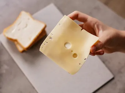 Por que alguns queijos têm buracos? Saiba diferenciar fermentação de contaminação